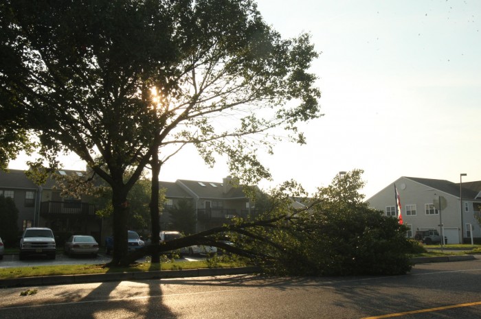 Storm damage